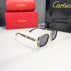 Alternative view of Cartier