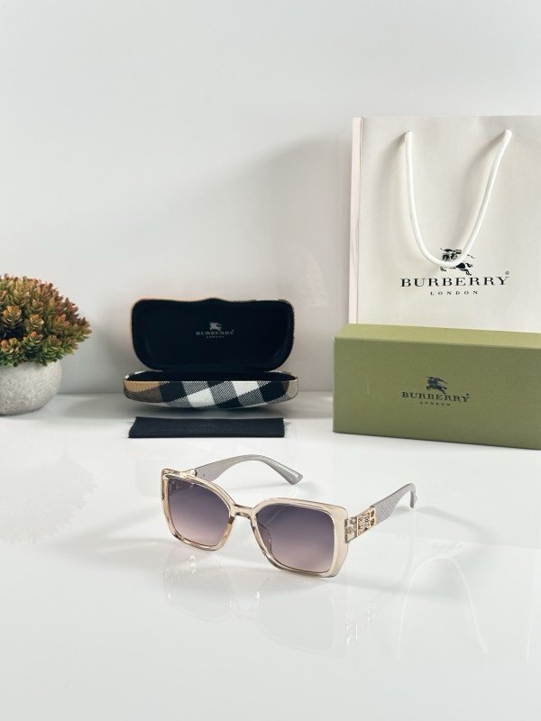 Burberry_WMNS_5509_Water_Brown - Image 4